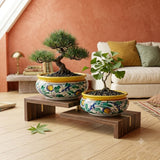 Set due portavasi per bonsai ceramica siciliana Ø 16 e Ø 20 decoro '600 GIALLO