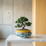 Caltagirone Ceramic Bonsai Pot Holder, Sicilian Ceramic 