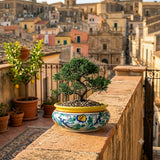 Caltagirone Ceramic Bonsai Pot Holder, Sicilian Ceramic 